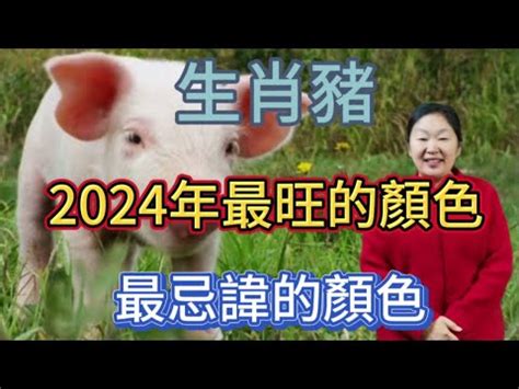 屬豬適合什麼顏色|2024豬年開運色速查